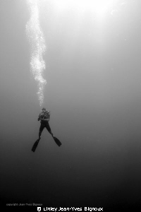Diver on deco Mauritius
Linley Jean-Yves Bignoux/Canon 7... by Linley Jean-Yves Bignoux 